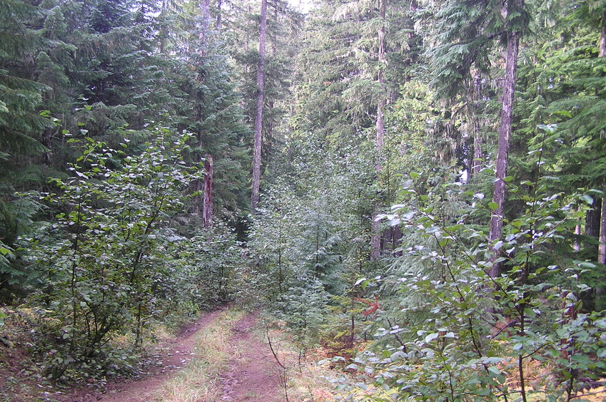 View to the south from the confluence.