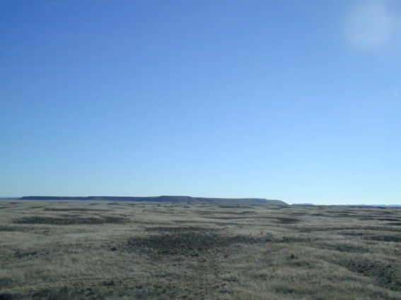 View to south