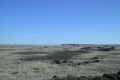 Visit #1: [19-Feb-00]