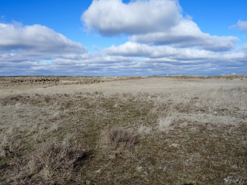 Looking north from confluence