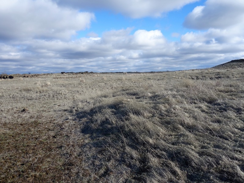 Looking east from confluence