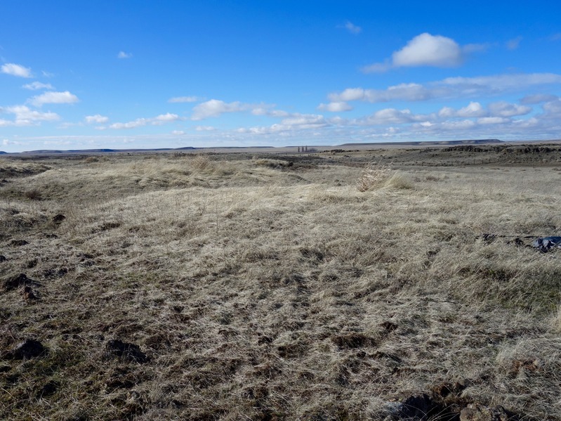 Looking east from confluence 