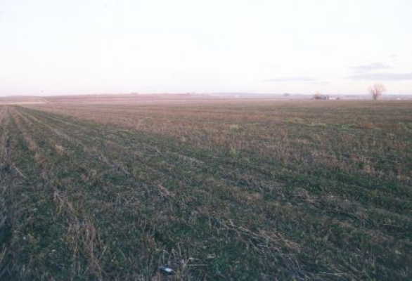 Looking SE from the confluence at the agricultural land.