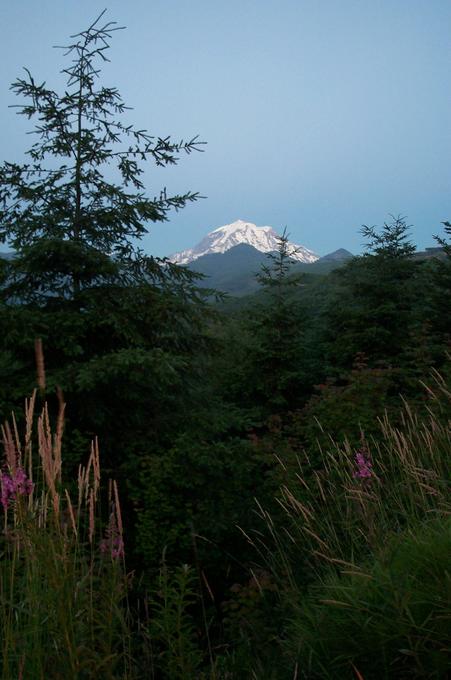 Mount Rainier, viewed from 2.5 miles W of the confluence