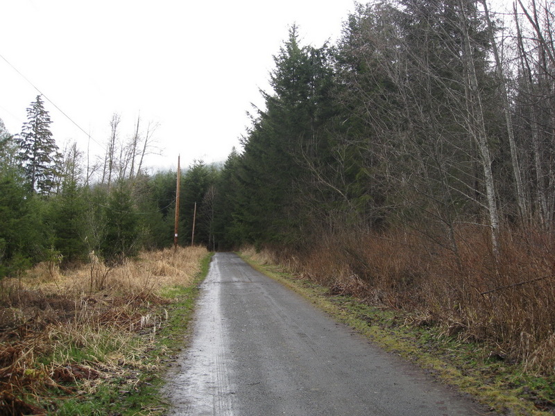 The road leading to the confluence point from the North - about 300 meters away