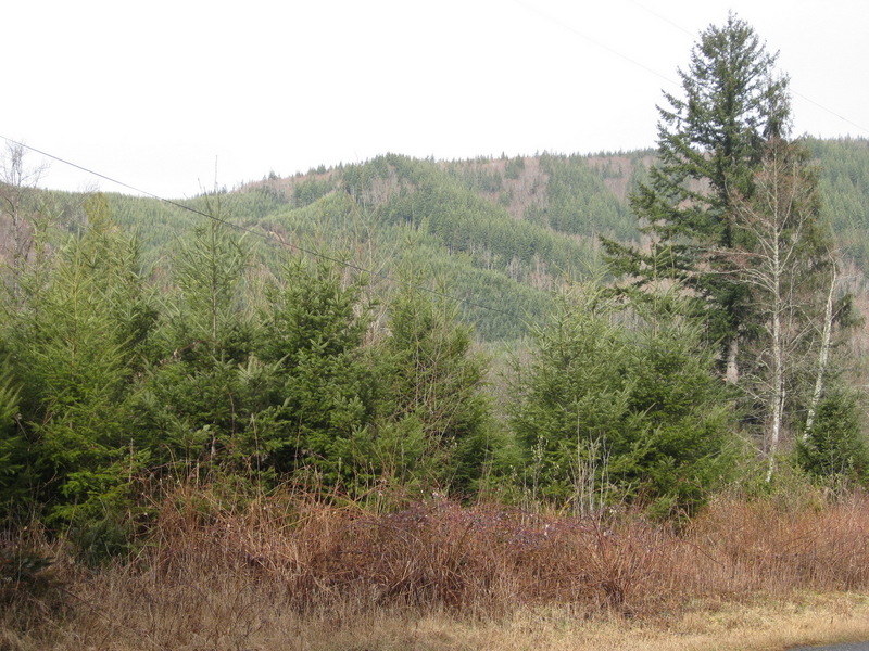 The hill across from the valley where the confluence point is located