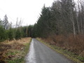 #8: The road leading to the confluence point from the North - about 300 meters away