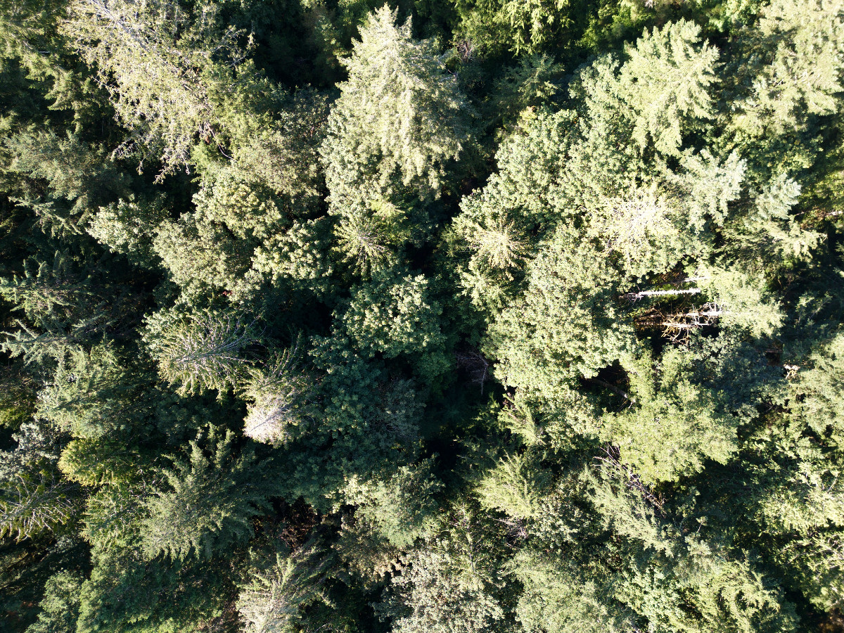 Looking down on the point from a height of 120m