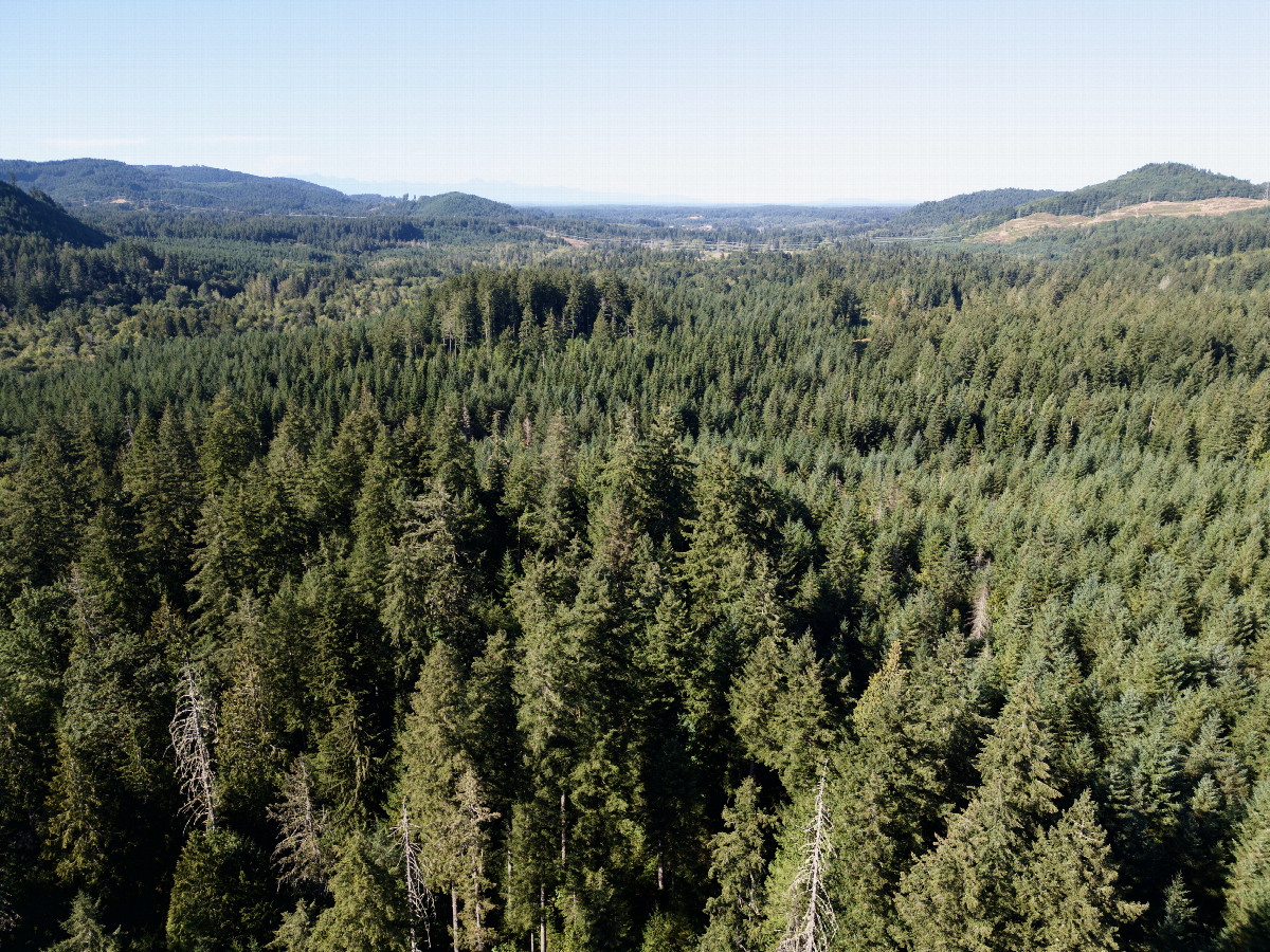 View North, from 120m above the point