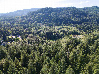 #11: View West (of the McLane Creek Trail wetlands), from 120m above the point