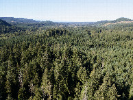 #8: View North, from 120m above the point