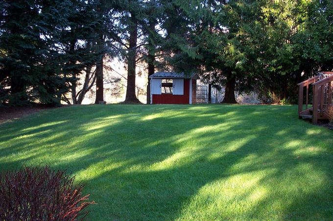 The confluence yard -- the confluence is in the trees at the left