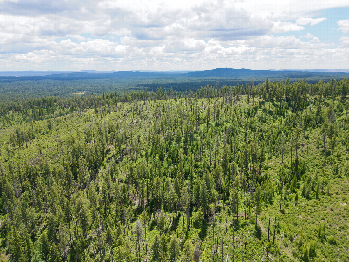 View South, from 120m above the point