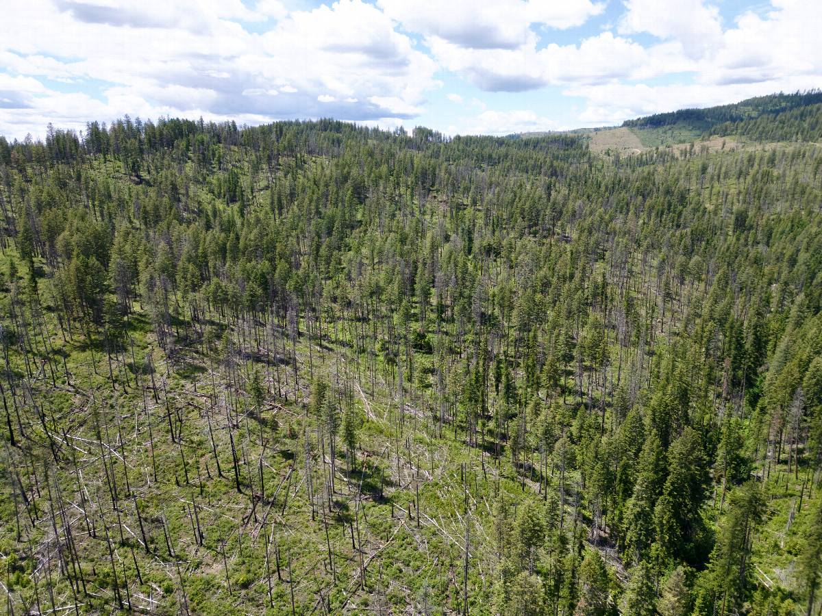 View West, from 120m above the point