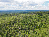 #10: View South, from 120m above the point