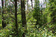 #3: View South