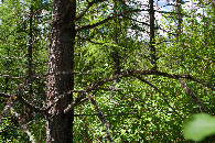 #4: View West
