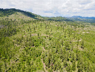#8: View North, from 120m above the point