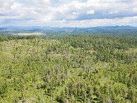 #9: View East, from 120m above the point