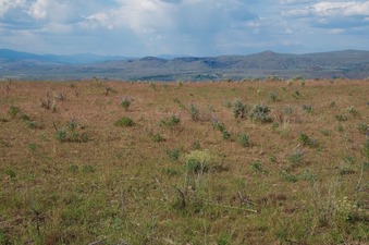 #1: View North