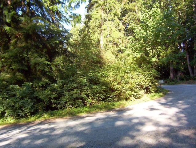 View west across 171st from the driveway.