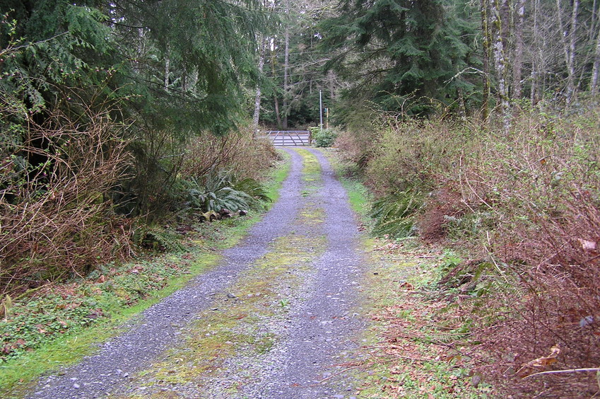 View to the west from the confluence point.