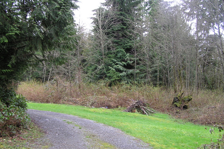 View to the southeast from the confluence point.