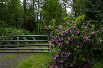 #1: The confluence point lies about 200 feet away, inside this private residence. (This is also a view to the East.)