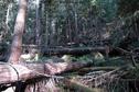 #3: East