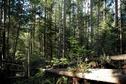 #6: North