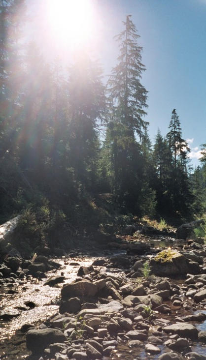 Goodman Creek near confluence, facing south