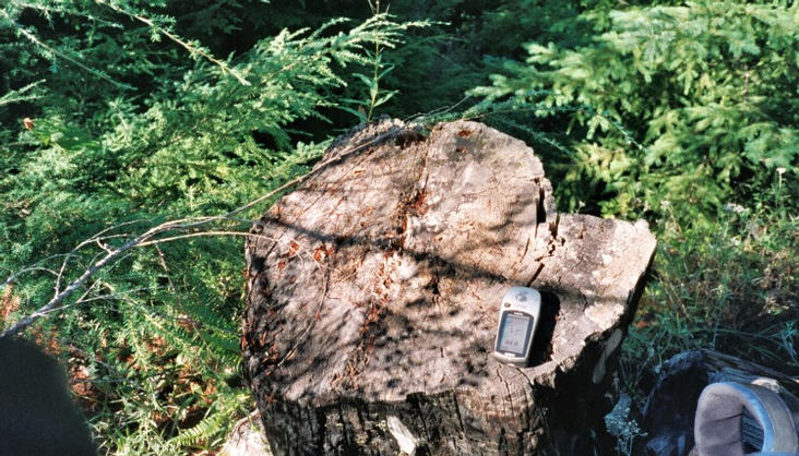 Gps on confluence stump