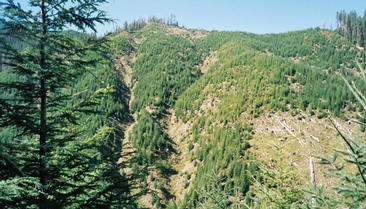 #1: Confluence point facing west