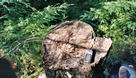 #6: Gps on confluence stump