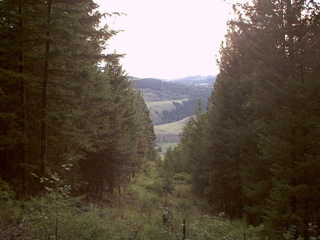 View west from the confluence along the border