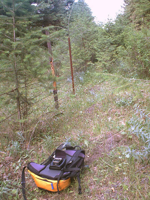 View of confluence point and border fence