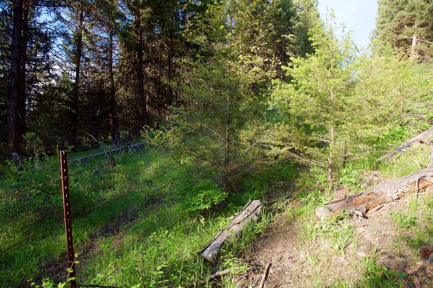 The US-Canada border fence, right next to the Degree Confluence point 