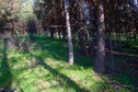 #5: The confluence point lies on a forested slope, less than 30 feet south of the US-Canada border