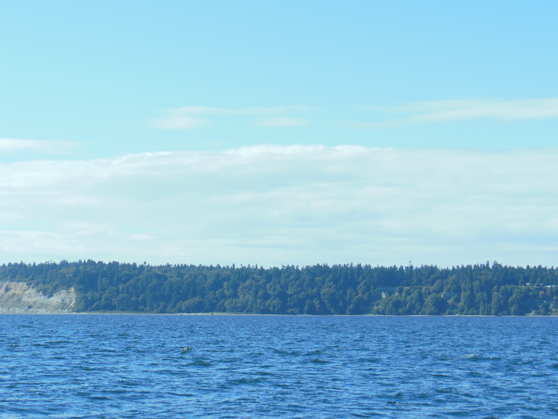 Looking west at Point Roberts, WA