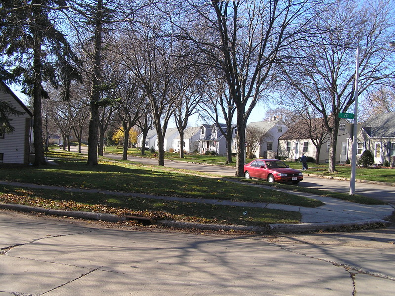 View to the west from the confluence.