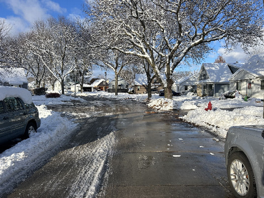 #1: An overview of the confluence looking north towards the point (it lies in the apron of the first driveway on the right).