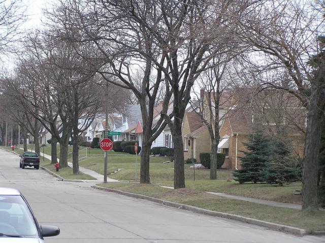 treetscape, looking south from confluence along South 70th Street.