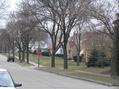 #6: treetscape, looking south from confluence along South 70th Street.