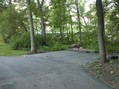 #6: Looking south, we see more trees, as well as the end of the street.