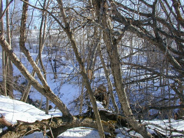 The view south shows the ravine in the upstream direction