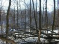 #4: The view west shows the ravine as it meanders left to right toward the Wisconsin River