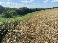 #8: Big view approaching confluence from ridge, looking north-northwest; the confluence lies in the trees to the left, down the slope.