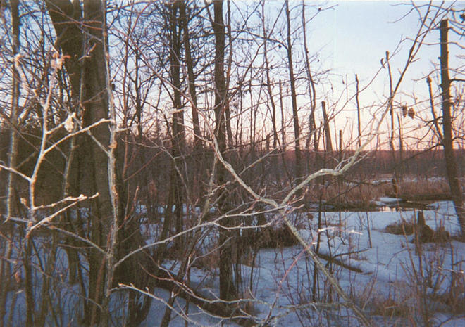 View looking west from the confluence.  Cedar Creek is about 40 feet away.