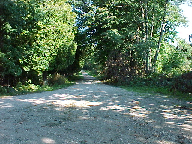 Looking east down Wood Lane