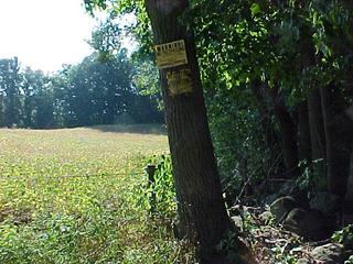 #1: Looking west to the confluence